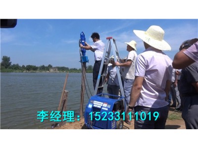 防汛抢险打桩机价格，河道加固专用植桩机